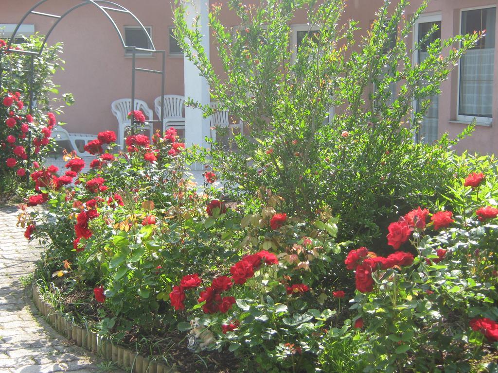 Fészek Apartmanház Vonyarcvashegy Extérieur photo